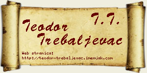 Teodor Trebaljevac vizit kartica